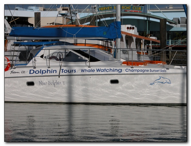 DVC00155